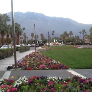 Meet your Posher, Patsy